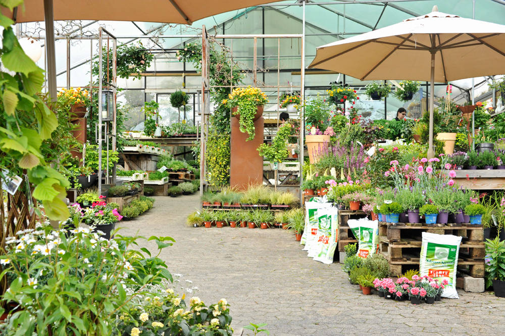 Gärtnerei Blumen Kress