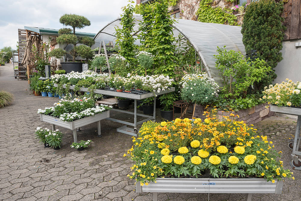 Gärtnerei Blumen Kress