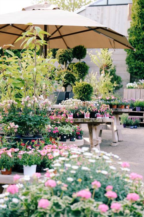 Gärtnerei Blumen Kress