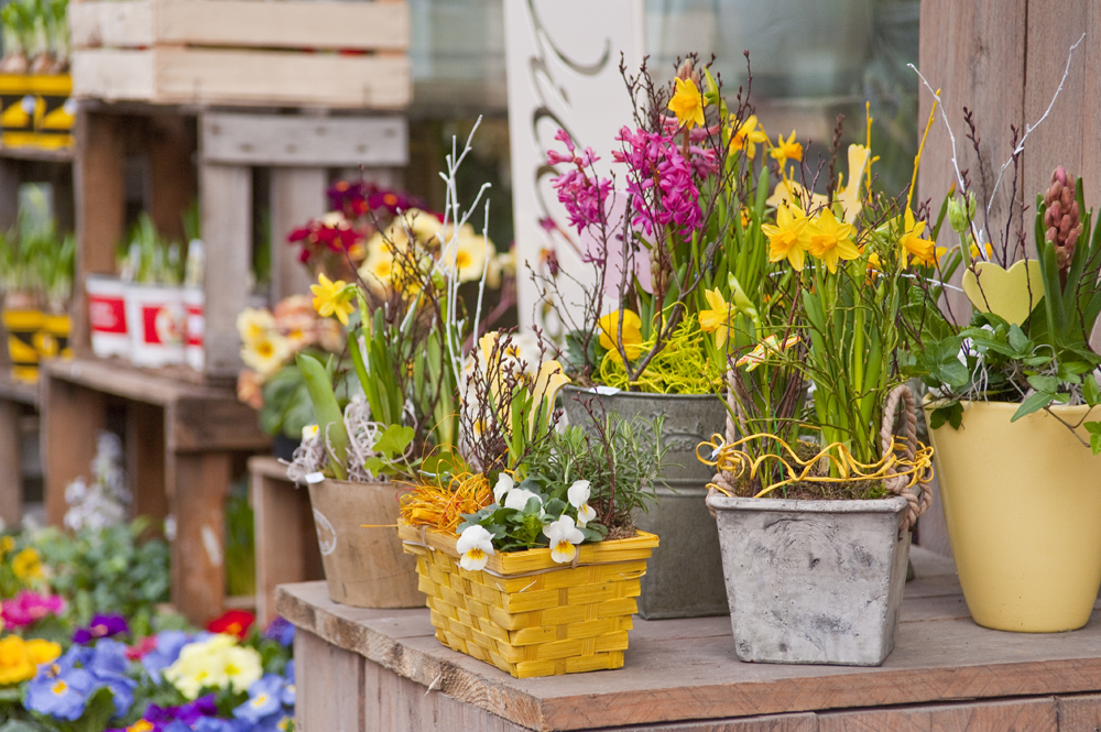 Startseite Blumen Kreß | Blumen Kreß Flieden